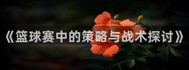 《篮球赛中的策略与战术探讨》