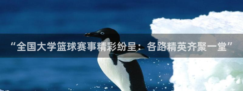 “全国大学篮球赛事精彩纷呈：各路精英齐聚一堂”