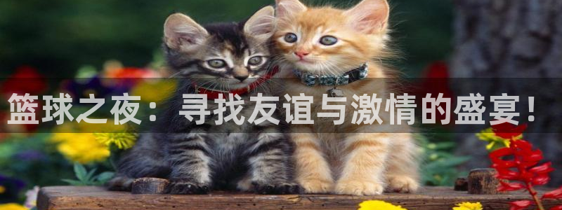  江南jnsport体育：篮球之夜：寻找友谊与激情的盛宴！