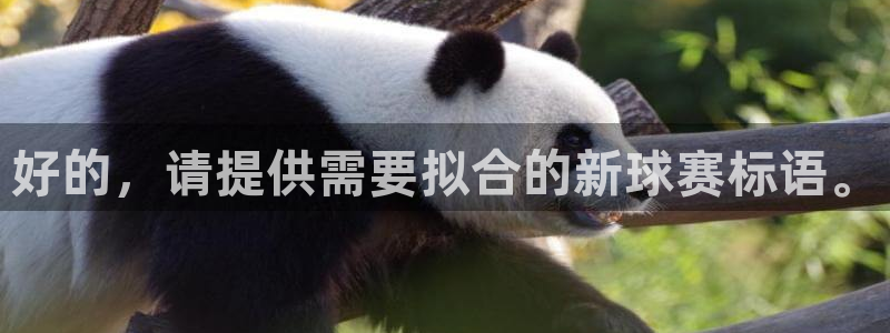  江南jnsport体育：好的，请提供需要拟合的新球赛标语。