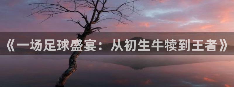  江南jn体育登录入口：《一场足球盛宴：从初生牛犊到王者》