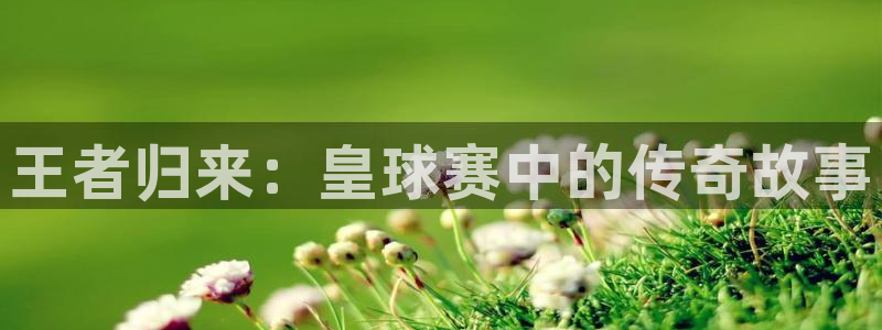  jn江南体育登录入口：王者归来：皇球赛中的传奇故事