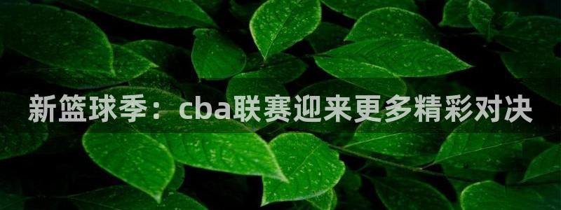  江南jnsport体育：新篮球季：cba联赛迎来更多精彩对决