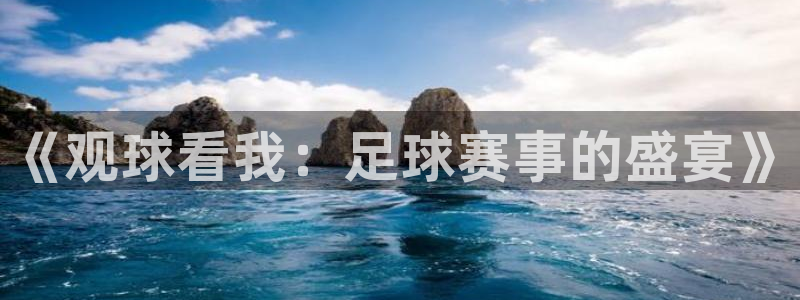 江南jn体育官网入口：《观球看我：足球赛事的盛宴》