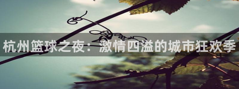  江南jn体育登录入口：杭州篮球之夜：激情四溢的城市狂欢季