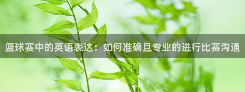 江南jn体育官网入口：篮球赛中的英语表达：如何准确且专业的进