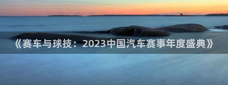  jn江南·体育登录入口：《赛车与球技：2023中国汽车赛事年
