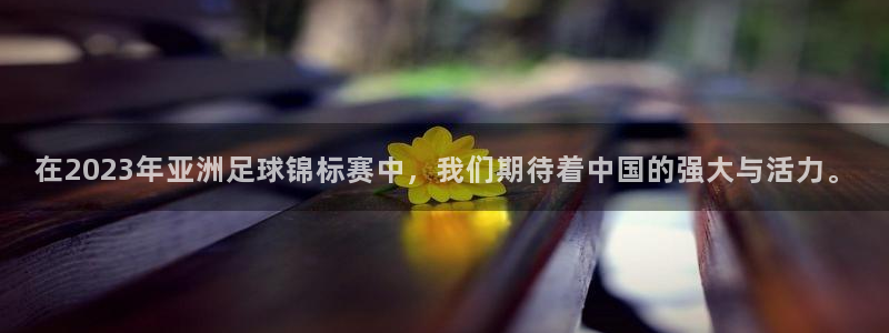  江南娱乐jn平台下载：在2023年亚洲足球锦标赛中，我们期待