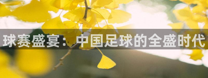  江南jn体育：球赛盛宴：中国足球的全盛时代