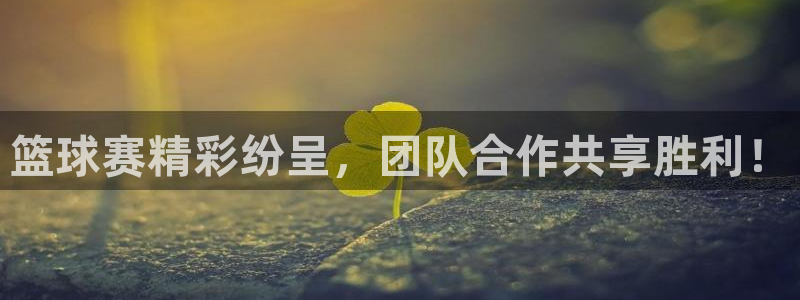  jn江南·体育官网：篮球赛精彩纷呈，团队合作共享胜利！